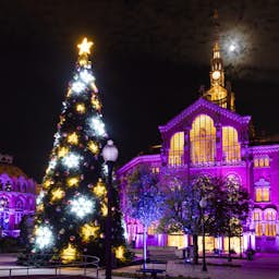 Poster image for the exhibition titled Les lumières de Sant Pau : Jardin de Noël