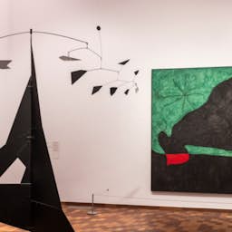 Poster image for the exhibition titled Miró y Estados Unidos