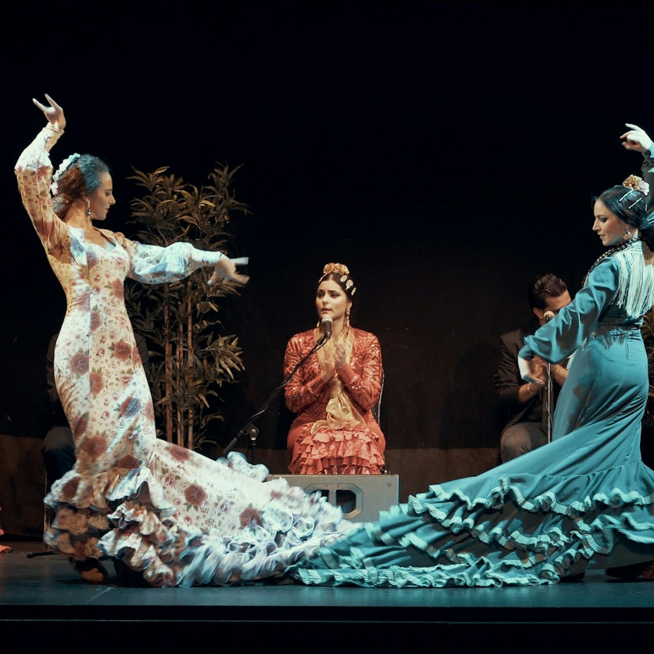 Picture of Flamenco Barcelona Stadhuis Theater in 