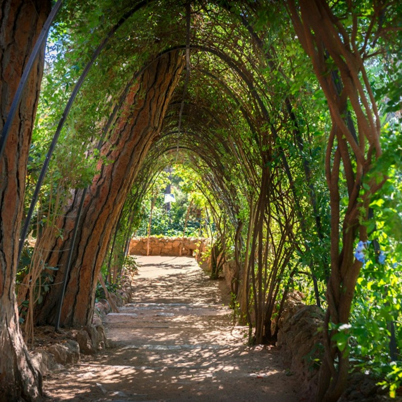 Picture of Park Güell in 