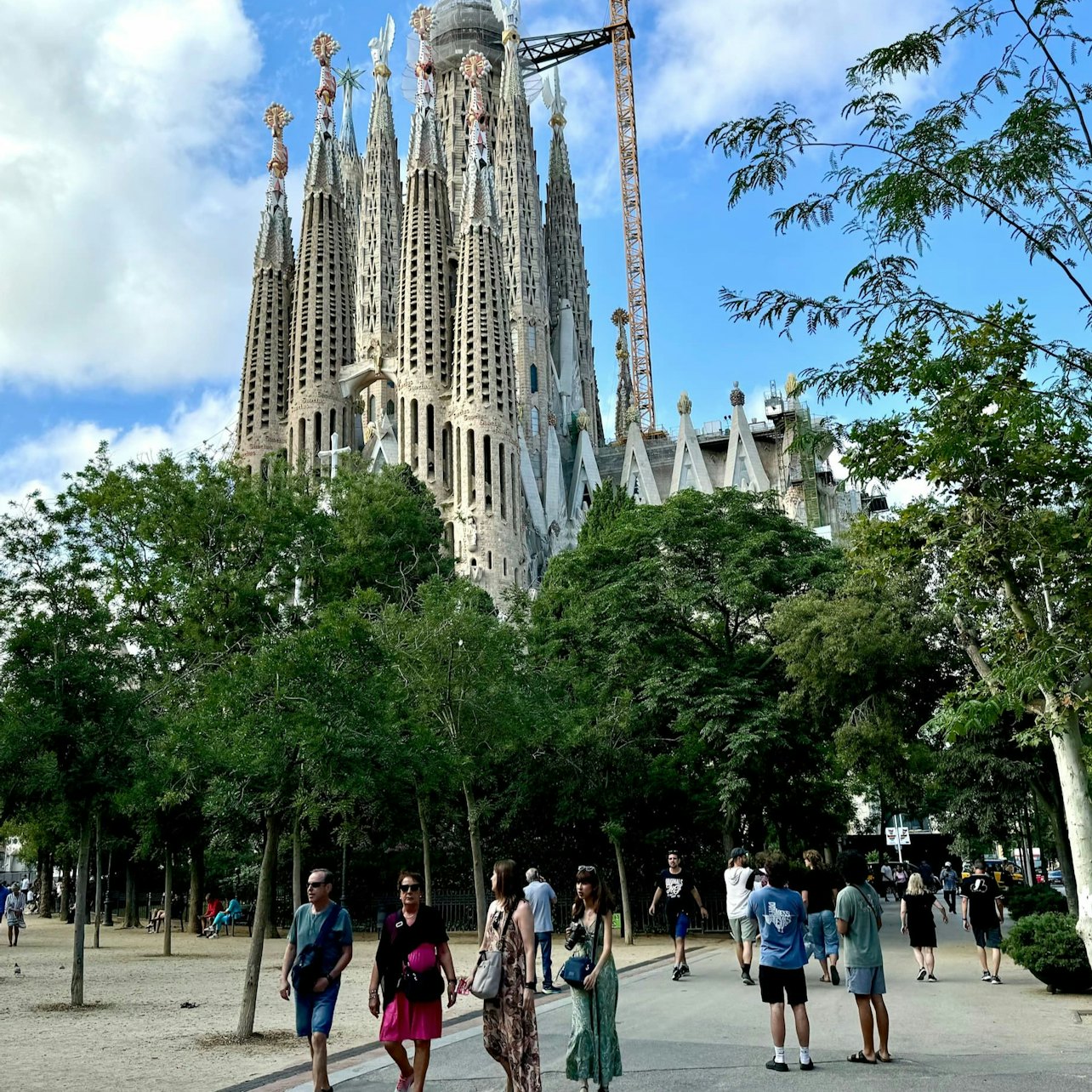 Picture of  in Barcelona