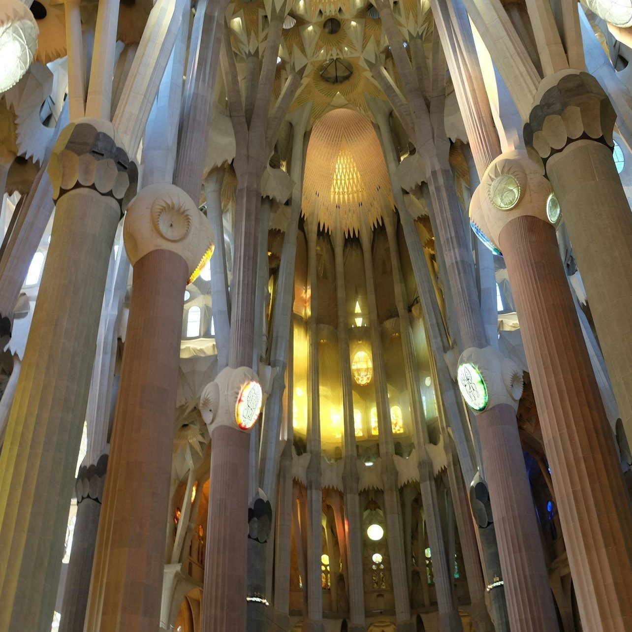 Picture of  in Barcelona